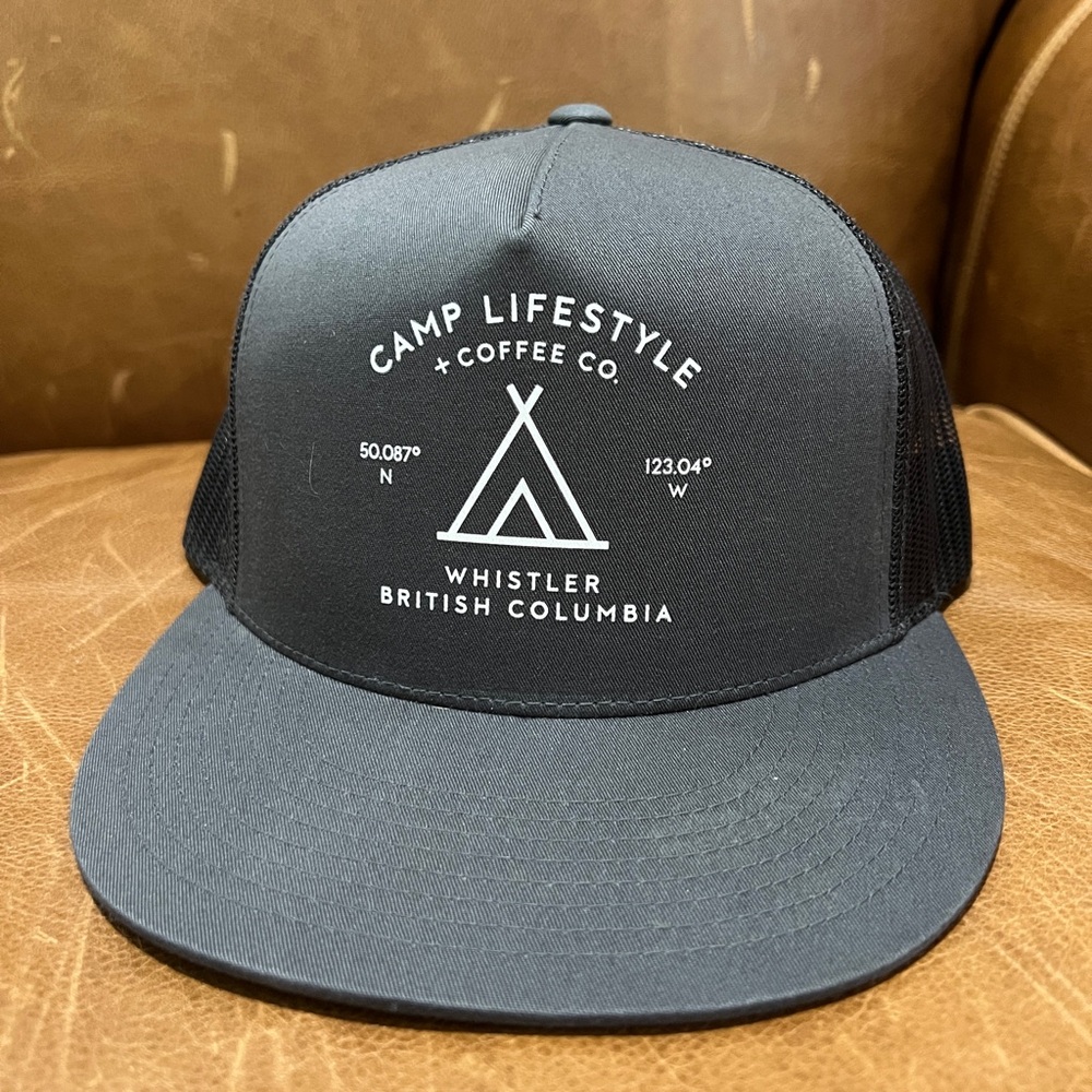 Whistler men’s SnapBack hat. OS. Grey